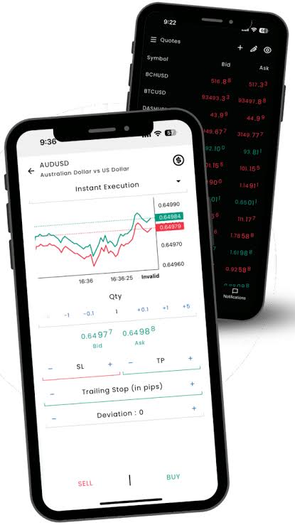 Phone Mockup Display